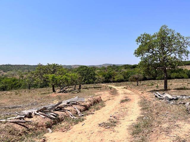 #910 - Área para Venda em Santo Antônio do Monte - MG