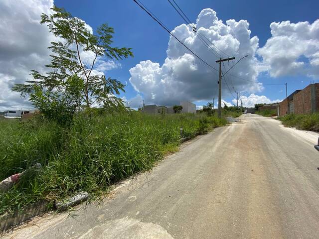 #1497 - Área para Venda em Santo Antônio do Monte - MG