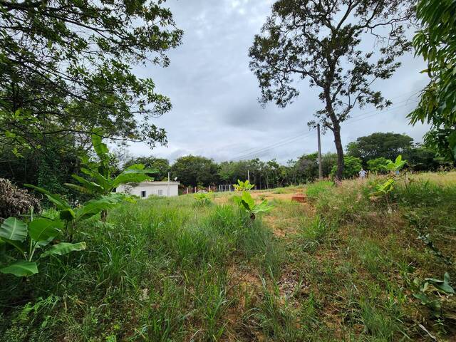#1625 - Chácara para Venda em Santo Antônio do Monte - MG - 3