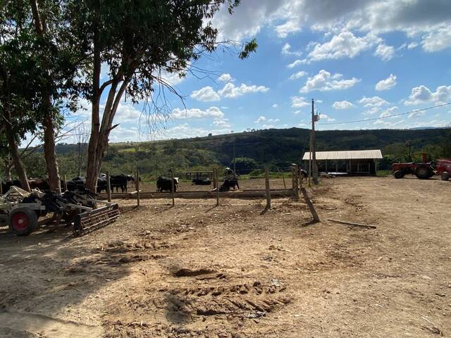 #1679 - Chácara para Venda em Santo Antônio do Monte - MG - 3
