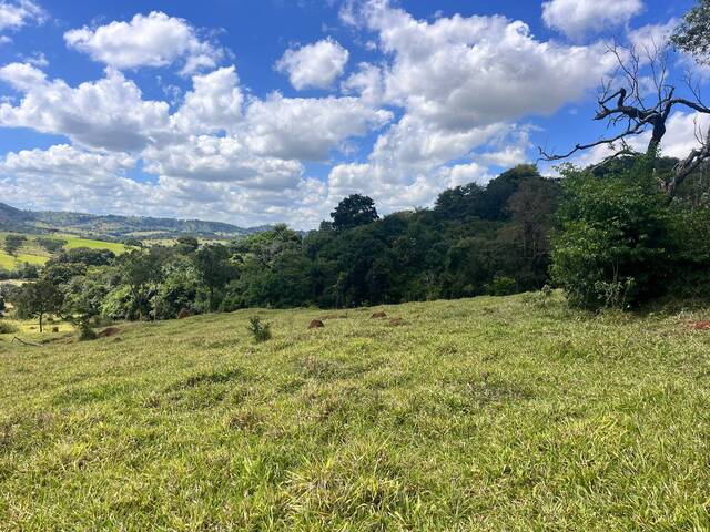 #1716 - Chácara para Venda em Santo Antônio do Monte - MG - 2