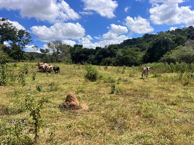 #1716 - Chácara para Venda em Santo Antônio do Monte - MG - 3