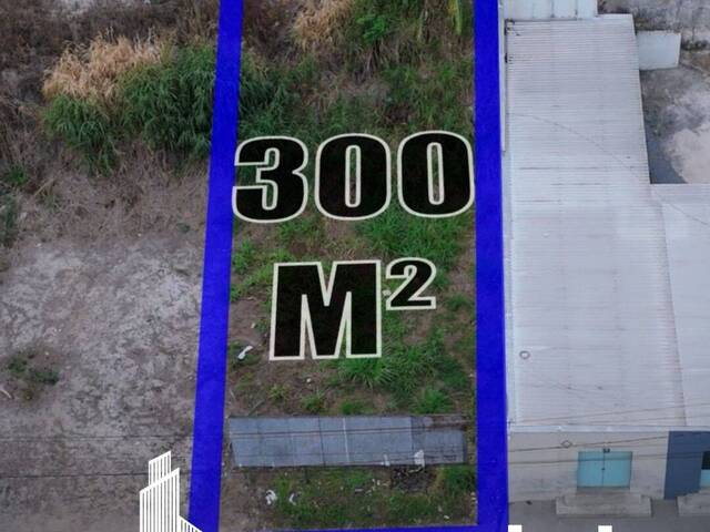  em  - 