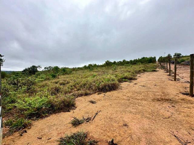#1903 - Chácara para Venda em Santo Antônio do Monte - MG - 3