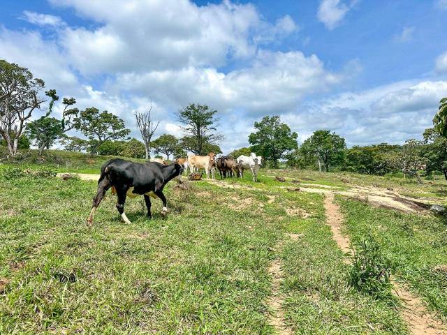 #1949 - Área para Venda em Santo Antônio do Monte - MG