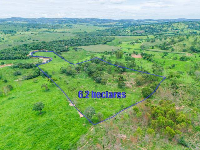 #1987 - Área para Venda em Santo Antônio do Monte - MG