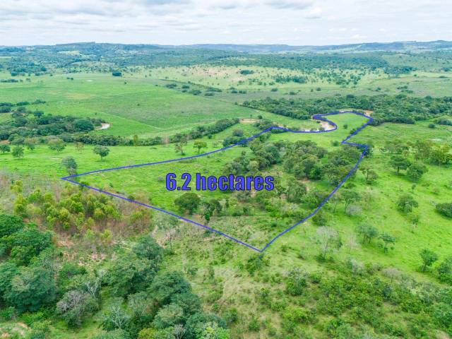 #1987 - Área para Venda em Santo Antônio do Monte - MG