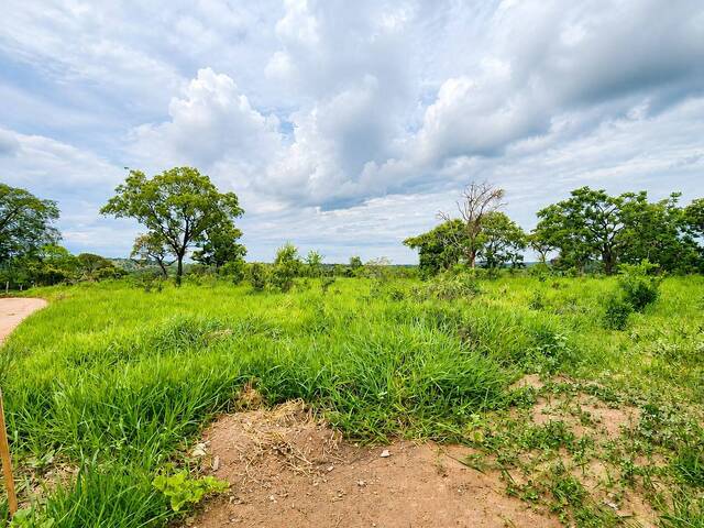 #2336 - Área para Venda em Santo Antônio do Monte - MG - 3